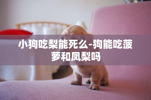 小狗吃梨能死么-狗能吃菠蘿和鳳梨嗎