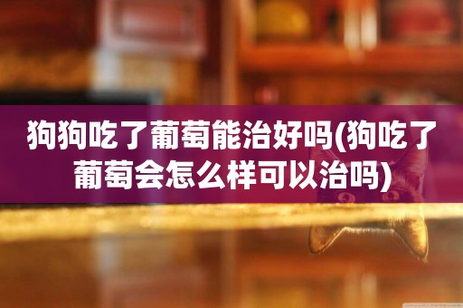 狗狗吃了葡萄能治好嗎(狗吃了葡萄會怎么樣可以治嗎)