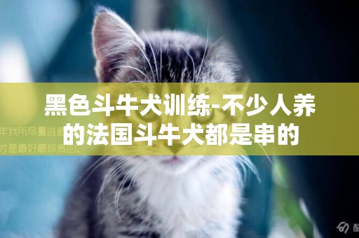 黑色斗牛犬訓練-不少人養的法國斗牛犬都是串的