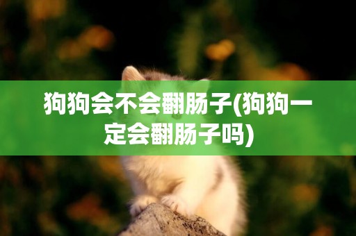 狗狗會不會翻腸子(狗狗一定會翻腸子嗎)