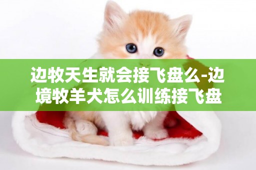 邊牧天生就會接飛盤么-邊境牧羊犬怎么訓練接飛盤