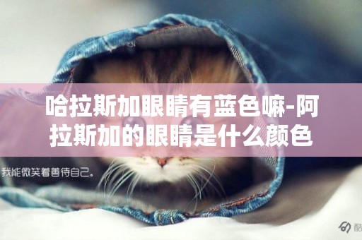 哈拉斯加眼睛有藍色嘛-阿拉斯加的眼睛是什么顏色