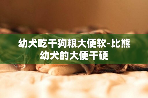 幼犬吃干狗糧大便軟-比熊幼犬的大便干硬