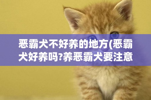 惡霸犬不好養的地方(惡霸犬好養嗎?養惡霸犬要注意什么?)