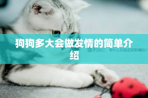 狗狗多大會做發情的簡單介紹