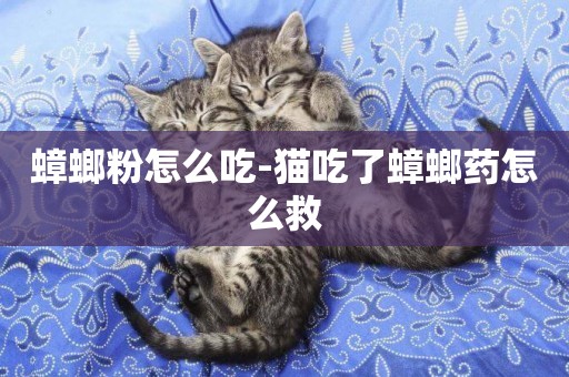 蟑螂粉怎么吃-貓吃了蟑螂藥怎么救