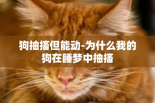 狗抽搐但能動-為什么我的狗在睡夢中抽搐