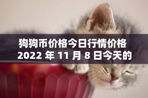 狗狗幣價格今日行情價格 2022 年 11 月 8 日今天的狗狗幣價格預測：DOGE 美元市場購買活動恢復 