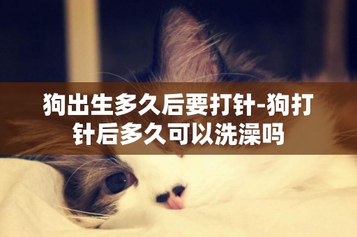 狗出生多久后要打針-狗打針后多久可以洗澡嗎