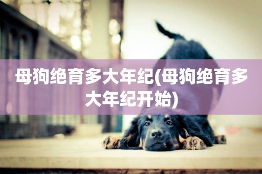 母狗絕育多大年紀(母狗絕育多大年紀開始)