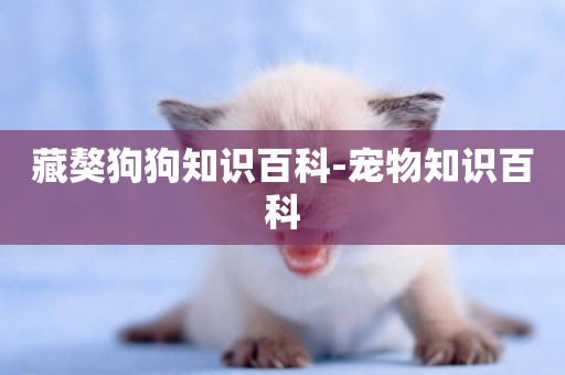藏獒狗狗知識百科-寵物知識百科