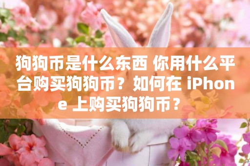狗狗幣是什么東西 你用什么平臺購買狗狗幣？如何在 iPhone 上購買狗狗幣？ 