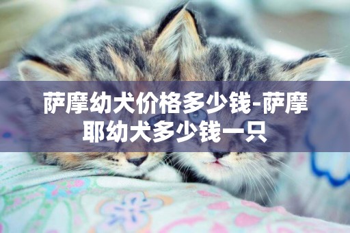 薩摩幼犬價格多少錢-薩摩耶幼犬多少錢一只