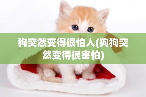狗突然變得很怕人(狗狗突然變得很害怕)
