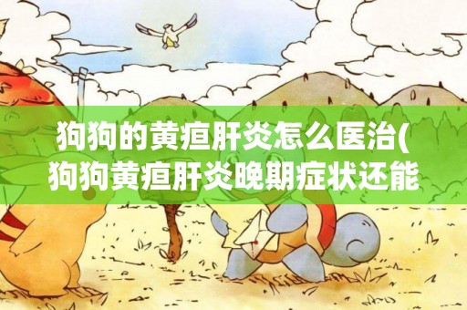 狗狗的黃疸肝炎怎么醫治(狗狗黃疸肝炎晚期癥狀還能治好嗎)