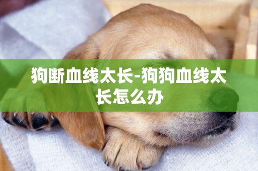 狗斷血線太長-狗狗血線太長怎么辦
