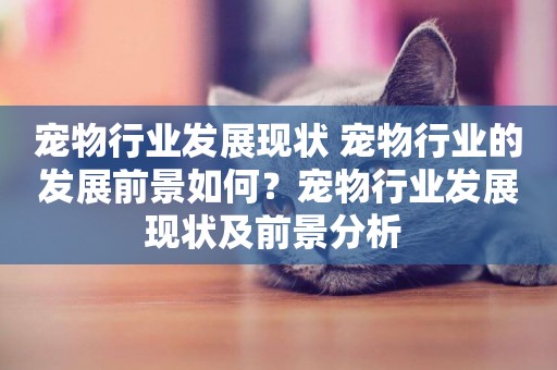 寵物行業發展現狀 寵物行業的發展前景如何？寵物行業發展現狀及前景分析 