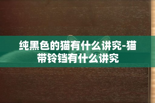 純黑色的貓有什么講究-貓帶鈴鐺有什么講究