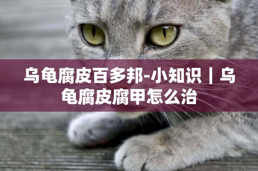 烏龜腐皮百多邦-小知識｜烏龜腐皮腐甲怎么治