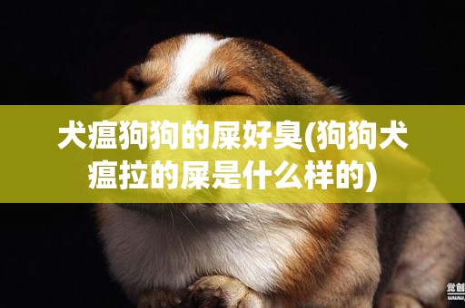 犬瘟狗狗的屎好臭(狗狗犬瘟拉的屎是什么樣的)