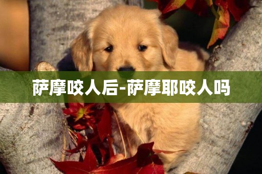 薩摩咬人后-薩摩耶咬人嗎