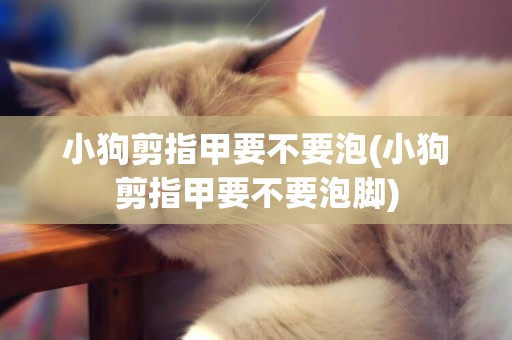 小狗剪指甲要不要泡(小狗剪指甲要不要泡腳)