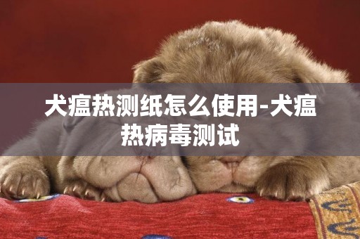 犬瘟熱測紙怎么使用-犬瘟熱病毒測試
