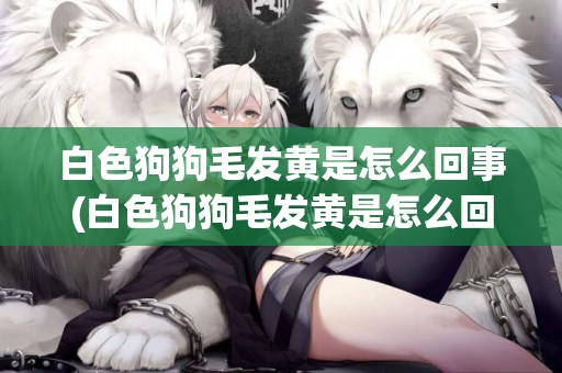 白色狗狗毛發黃是怎么回事(白色狗狗毛發黃是怎么回事兒)
