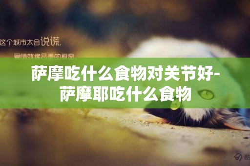 薩摩吃什么食物對關節好-薩摩耶吃什么食物