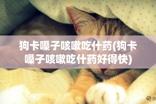 狗卡嗓子咳嗽吃什藥(狗卡嗓子咳嗽吃什藥好得快)