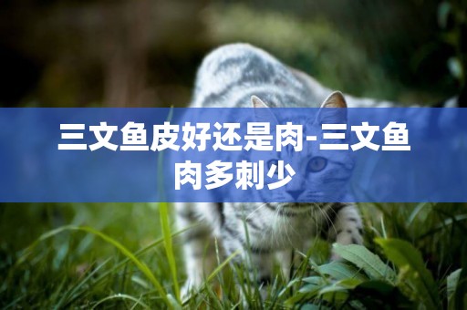 三文魚皮好還是肉-三文魚肉多刺少