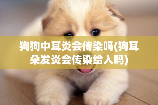 狗狗中耳炎會傳染嗎(狗耳朵發炎會傳染給人嗎)