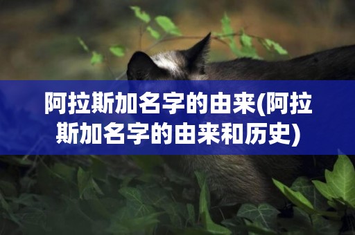 阿拉斯加名字的由來(阿拉斯加名字的由來和歷史)