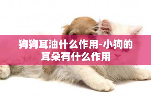狗狗耳油什么作用-小狗的耳朵有什么作用