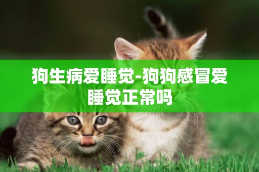 狗生病愛睡覺-狗狗感冒愛睡覺正常嗎