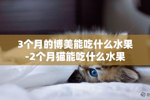 3個月的博美能吃什么水果-2個月貓能吃什么水果