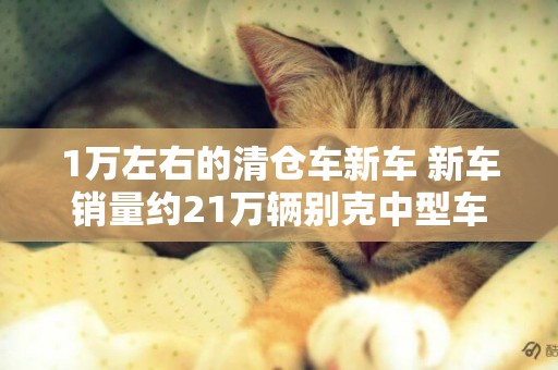 1萬左右的清倉車新車 新車銷量約21萬輛別克中型車。價格親民。不要錯過這些模型 