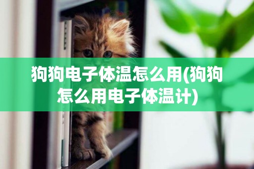 狗狗電子體溫怎么用(狗狗怎么用電子體溫計)