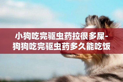 小狗吃完驅蟲藥拉很多屎-狗狗吃完驅蟲藥多久能吃飯