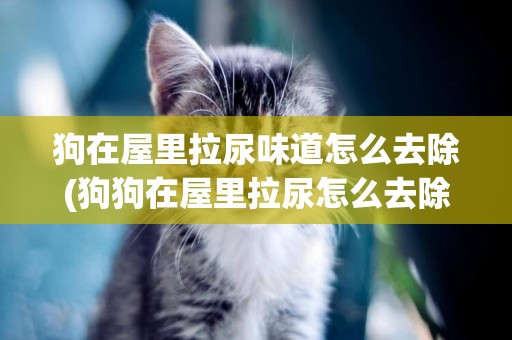 狗在屋里拉尿味道怎么去除(狗狗在屋里拉尿怎么去除臭味)