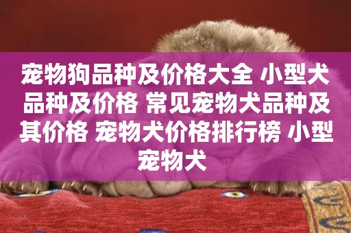 寵物狗品種及價格大全 小型犬品種及價格 常見寵物犬品種及其價格 寵物犬價格排行榜 小型寵物犬 