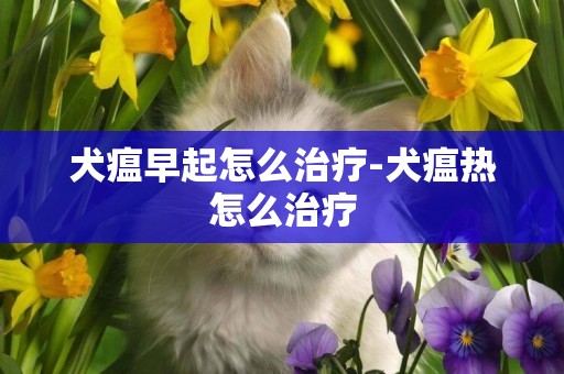 犬瘟早起怎么治療-犬瘟熱怎么治療