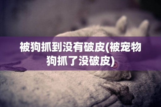 被狗抓到沒有破皮(被寵物狗抓了沒破皮)
