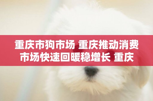 重慶市狗市場 重慶推動消費市場快速回暖穩增長 重慶日報電子報 