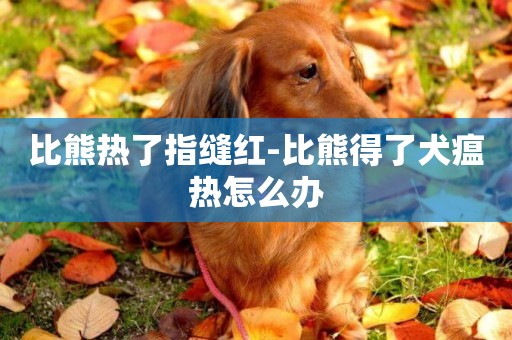 比熊熱了指縫紅-比熊得了犬瘟熱怎么辦