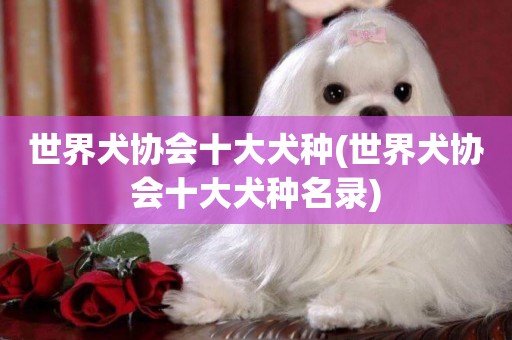 世界犬協會十大犬種(世界犬協會十大犬種名錄)