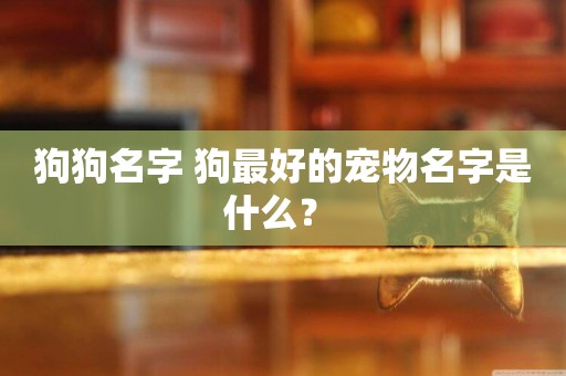 狗狗名字 狗最好的寵物名字是什么？ 