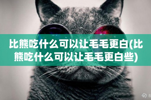 比熊吃什么可以讓毛毛更白(比熊吃什么可以讓毛毛更白些)