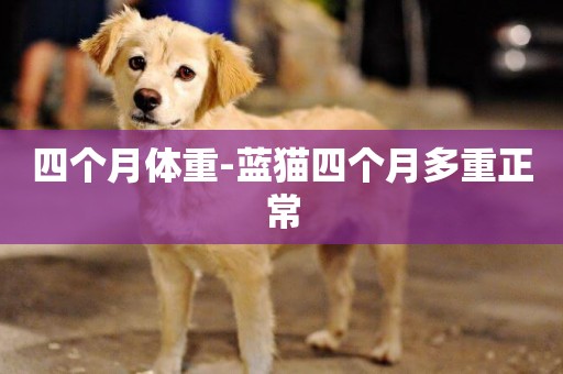 四個月體重-藍貓四個月多重正常