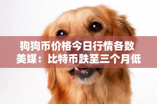 狗狗幣價格今日行情各數 美媒：比特幣跌至三個月低點 